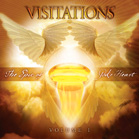 Visitations Volume I